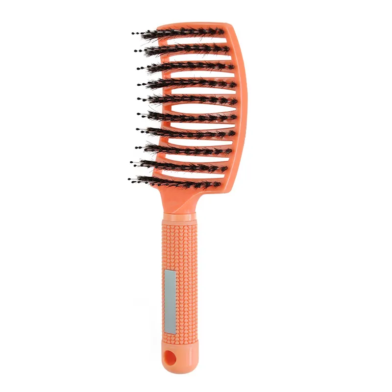 Bristle Orange